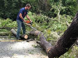 Best Seasonal Cleanup (Spring/Fall)  in Cottage Lake, WA