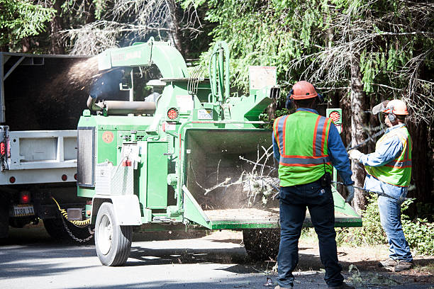 Best Firewood Processing and Delivery  in Cottage Lake, WA