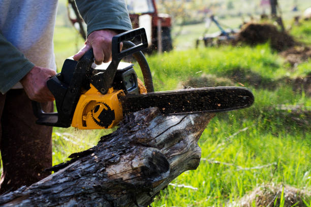 Best Arborist Consultation Services  in Cottage Lake, WA
