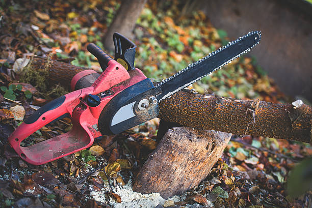 Best Hazardous Tree Removal  in Cottage Lake, WA